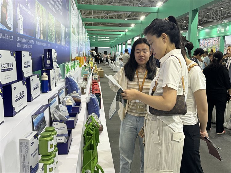 图为工作人员为现场参观者介绍产品。张振宇摄