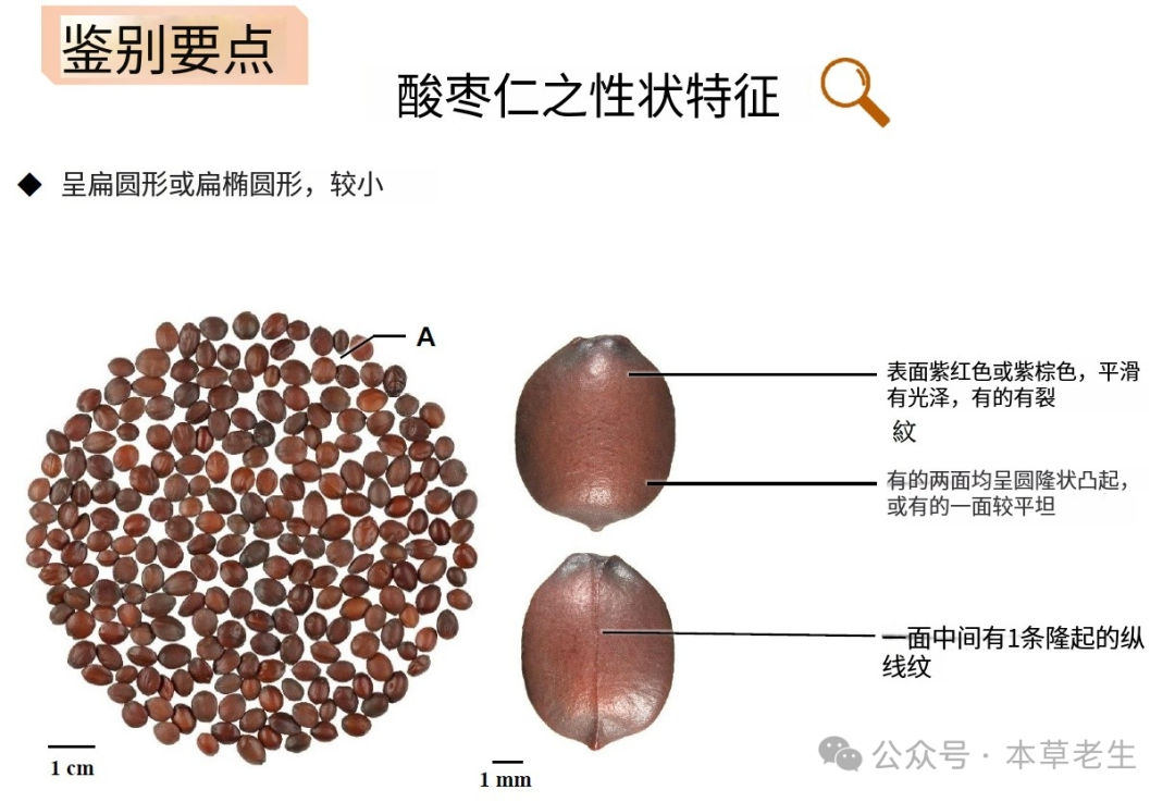 f8be7539285bdf8adebbe9c5a8077fa0_v2-aa7f4f2fcfd44299ed46aca755bfa9e8_r.jpg